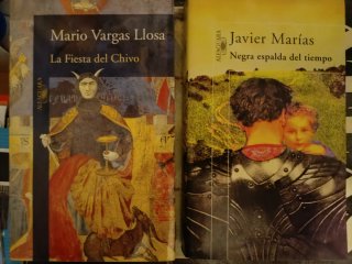 Varios libros literatura (12 ud)