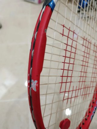 Escucho ofertes Raqueta de Tenis Wilson Hammer Pro