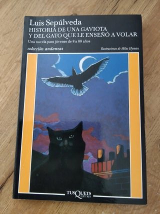Libro Infantil