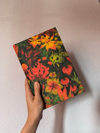 Sight Unseen. Bajo el mismo hechizo: Edición co...