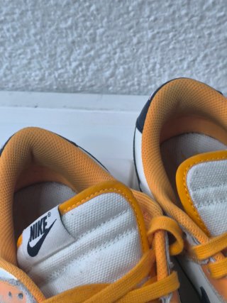 Nike Dunk