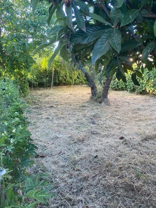 Multiservicios, Jardinería,Mantenimiento, Podas