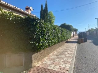 Multiservicios, Jardinería,Mantenimiento, Podas