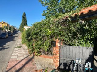 Multiservicios, Jardinería,Mantenimiento, Podas