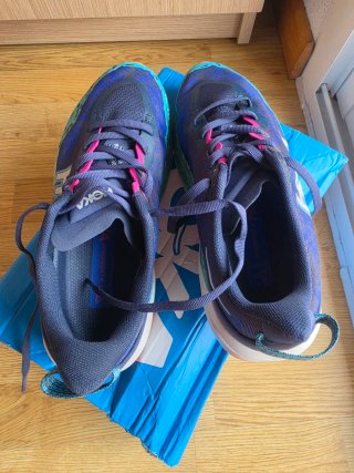 Zapatillas Hoka Speedgoat 6