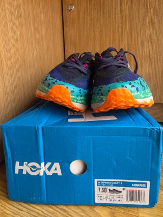 Zapatillas Hoka Speedgoat 6