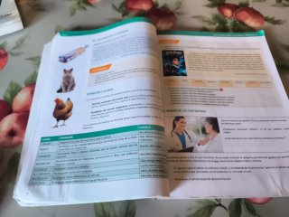 Lengua Y Literatura 1ESO