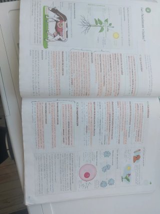 Biología y Geología 1 ESO