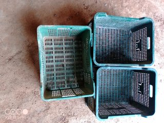Cajas de plástico verdes (2 unidades)
