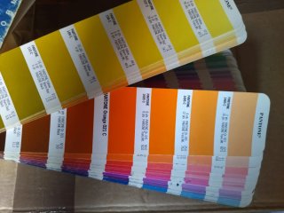Pantone Guía de Color
