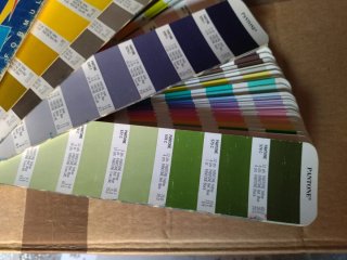 Pantone Guía de Color