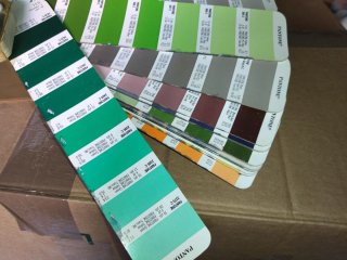 Pantone Guía de Color