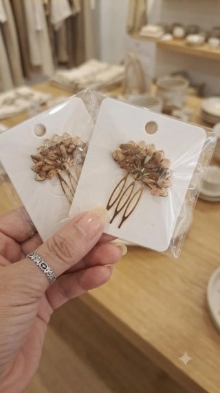 2 Peinecillos Marrones y Dorados