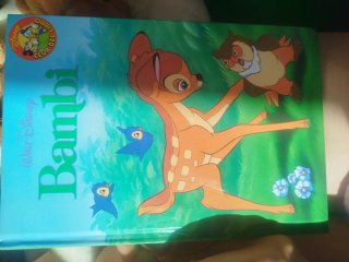 Lote de libros infantiles.