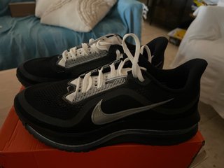 Zapatillas Nike Pegasus Premium SP Hombre