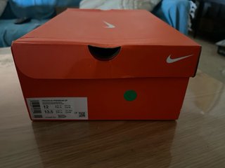 Zapatillas Nike Pegasus Premium SP Hombre