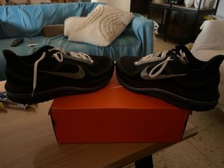 Zapatillas Nike Pegasus Premium SP Hombre