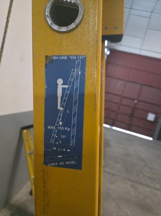 Escalera profesional de fibra de vidrio extensible