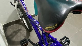 Bicicleta infantil 20 pulgadas
