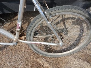 Bicicleta coluer Special Edition