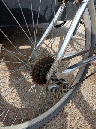 Bicicleta coluer Special Edition