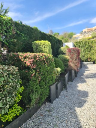 Jardineria y mantenimiento