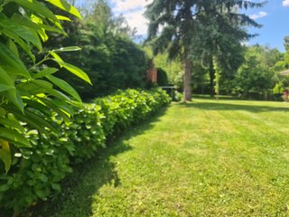 Jardineria y mantenimiento