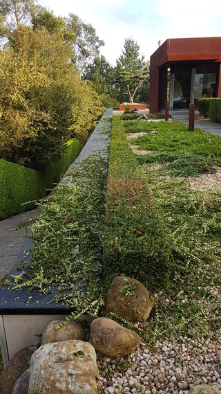 Jardineria y mantenimiento