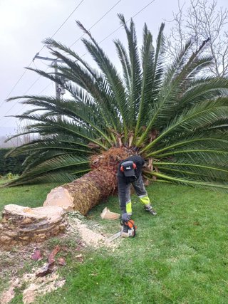 Jardineria y mantenimiento