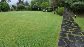 Jardineria y mantenimiento