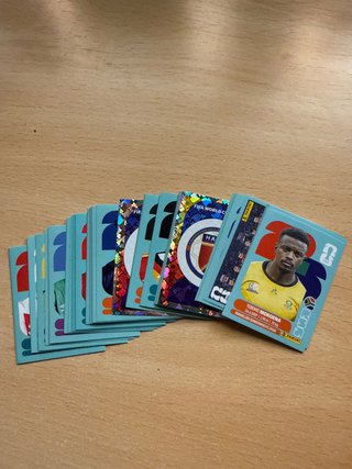 Lote 50 cromos Panini FIFA World Cup