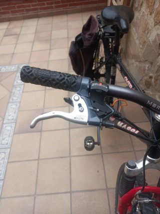 Bicicleta de montaña