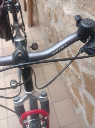 Bicicleta de montaña