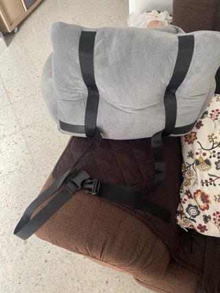 Cama de perro pequeño