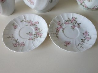 Juego de Porcelana Limoges Flores Rosas