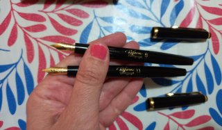 Set 5 penne stilografiche Reform Calligraphy