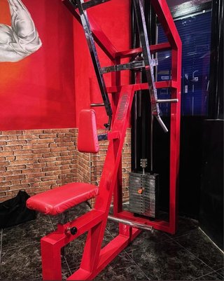Máquina Remo Espalda Gervasport