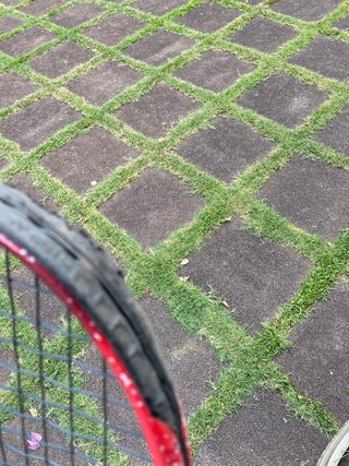 Raqueta Tenis Yonex Pro Overgrip 250g
