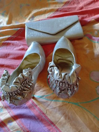 Zapatos de fiesta y bolso color champán