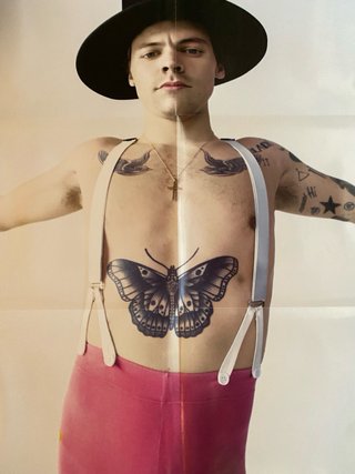Vinilo Harry Styles Fine Line Edición Especial