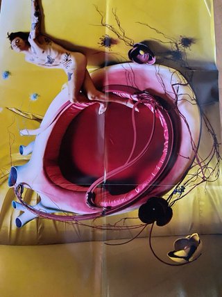 Vinilo Harry Styles Fine Line Edición Especial