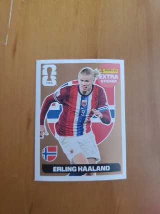 Panini FIFA Erling Haaland Extra Sticker Bronce