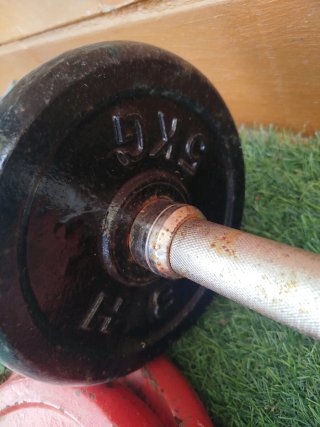Pesas y Mancuernas para Gimnasio