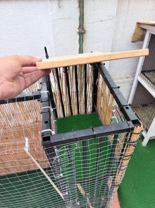 Aviario exterior con accesorios