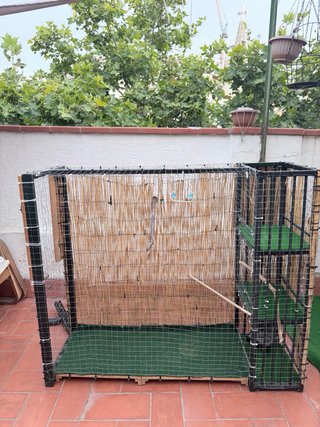 Aviario exterior con accesorios