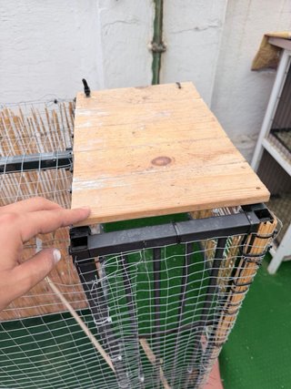 Aviario exterior con accesorios