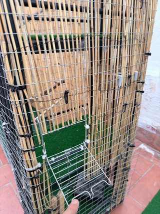 Aviario exterior con accesorios