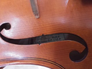 Violín Gliga GEM II 4/4 con estuche y arco