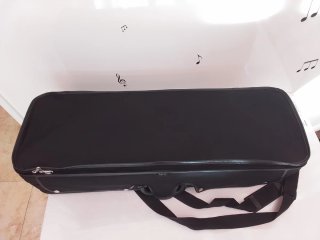 Violín Gliga GEM II 4/4 con estuche y arco