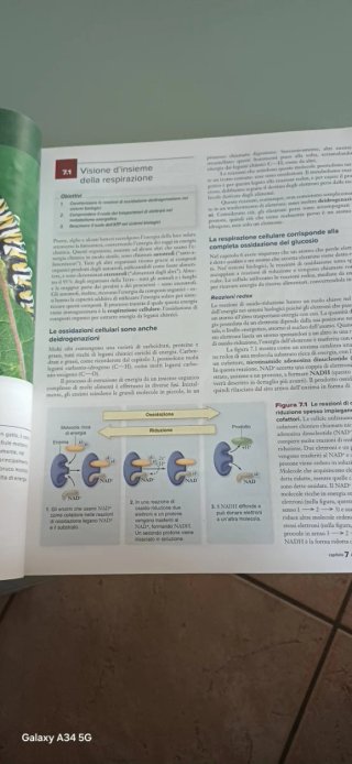 Elementi di biologia e genetica